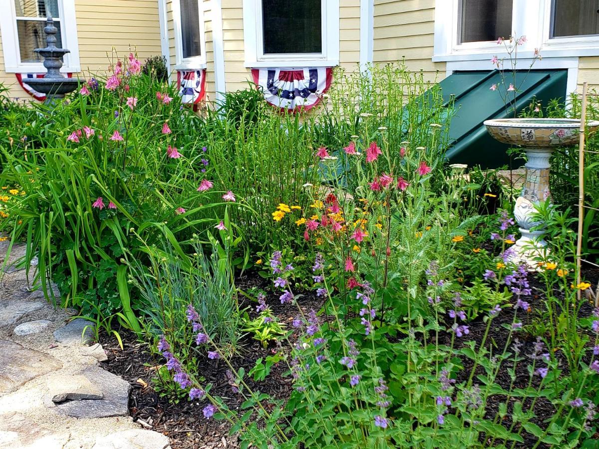 Elmere House Bed & Breakfast Wells Exterior photo